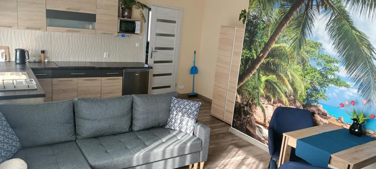 Apartamenty Modrzewiowe Tarasy Chojnice Esterno foto